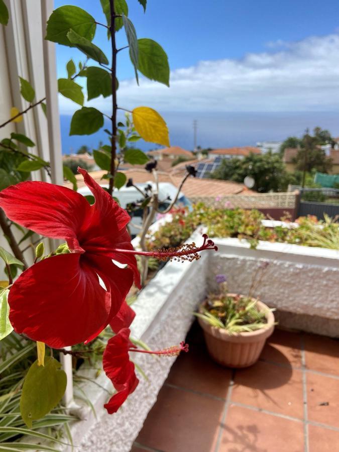 Guanche Bay Appartement Santa Cruz de Tenerife Buitenkant foto